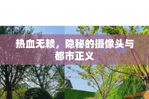 隐秘的摄像头与都市正义图片