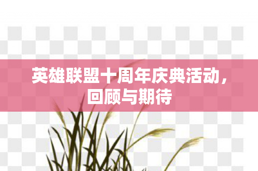 英雄联盟十周年庆典活动图片