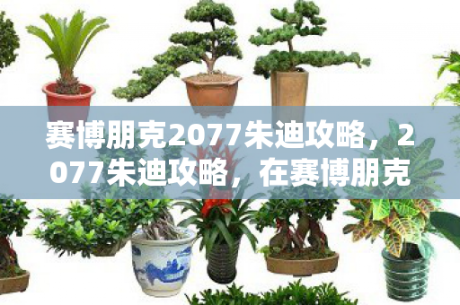 在赛博朋克世界中的生存指南图片