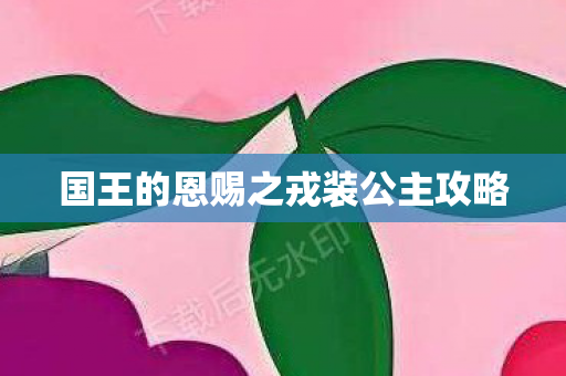 国王的恩赐之戎装公主攻略图片