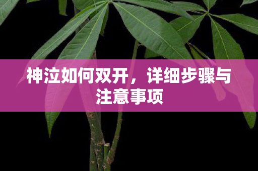 详细步骤与注意事项图片