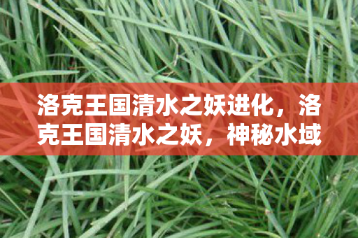 洛克王国清水之妖进化,洛克王国清水之妖,神秘水域的传说 洛克王国清水之妖进化,洛克王国清水之妖,神秘水域的传说