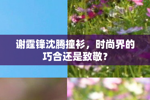 时尚界的巧合还是致敬图片