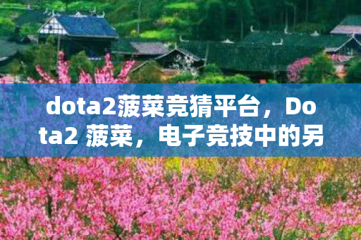 dota2菠菜竞猜平台，Dota2 菠菜，电子竞技中的另类投资与风险
