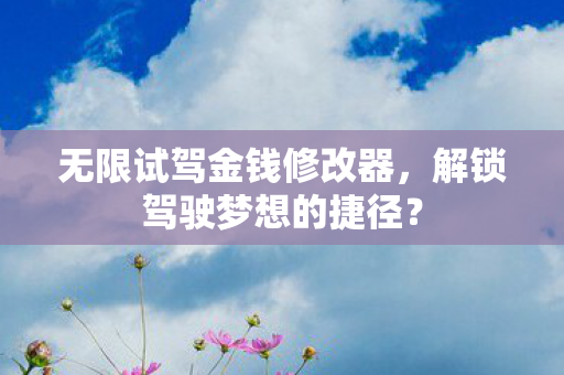 无限试驾金钱修改器，解锁驾驶梦想的捷径？