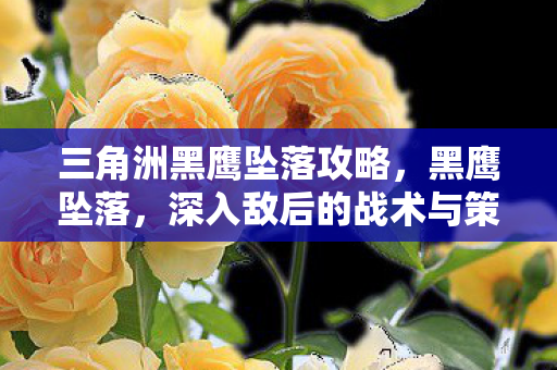 三角洲黑鹰坠落攻略，黑鹰坠落，深入敌后的战术与策略