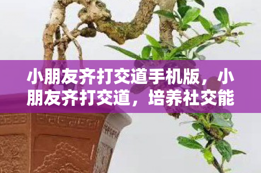 小朋友齐打交道手机版，小朋友齐打交道，培养社交能力的五大秘诀