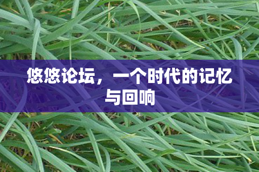悠悠论坛，一个时代的记忆与回响