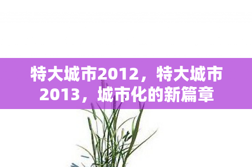 特大城市2012，特大城市2013，城市化的新篇章