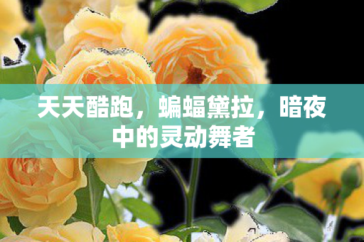 天天酷跑，蝙蝠黛拉，暗夜中的灵动舞者