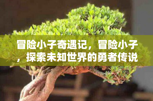 冒险小子奇遇记，冒险小子，探索未知世界的勇者传说