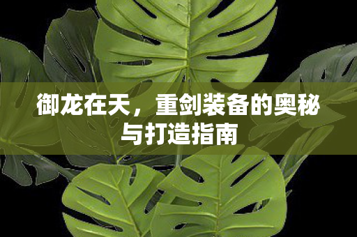 御龙在天，重剑装备的奥秘与打造指南