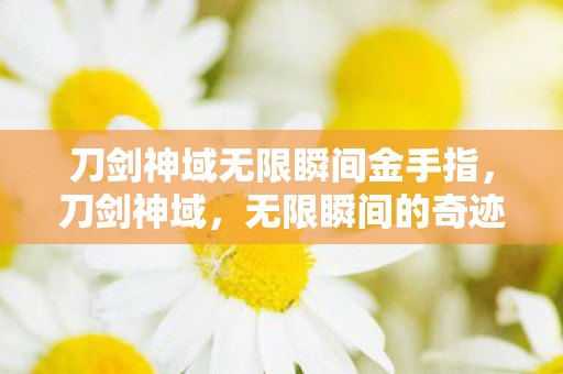 刀剑神域无限瞬间金手指，刀剑神域，无限瞬间的奇迹之旅