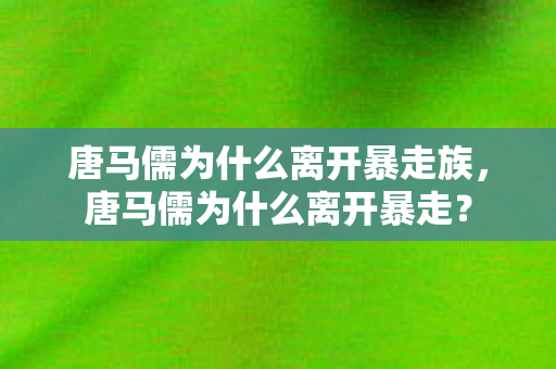 唐马儒为什么离开暴走族，唐马儒为什么离开暴走？