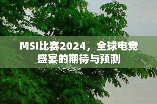 MSI比赛2024，全球电竞盛宴的期待与预测