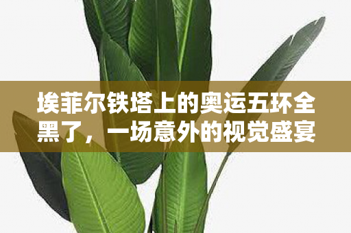 埃菲尔铁塔上的奥运五环全黑了，一场意外的视觉盛宴