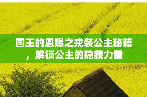 国王的恩赐之戎装公主秘籍,解锁公主的隐藏力量 国王的恩赐之戎装公主秘籍,解锁公主的隐藏力量