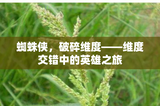 蜘蛛侠,破碎维度——维度交错中的英雄之旅 蜘蛛侠,破碎维度——维度交错中的英雄之旅
