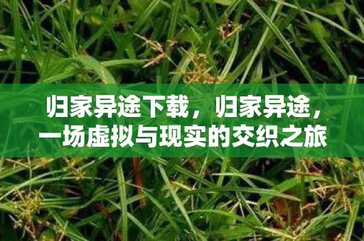 归家异途下载,归家异途,一场虚拟与现实的交织之旅 归家异途下载,归家异途,一场虚拟与现实的交织之旅