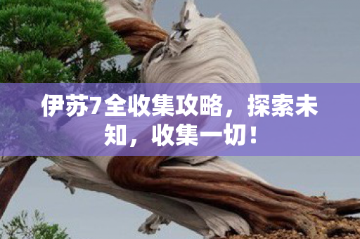 伊苏7全收集攻略，探索未知，收集一切！