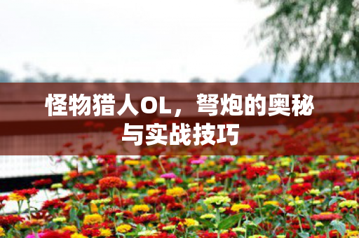 怪物猎人OL，弩炮的奥秘与实战技巧