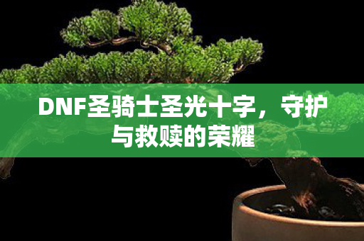 DNF圣骑士圣光十字，守护与救赎的荣耀
