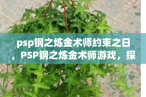 psp钢之炼金术师约束之日，PSP钢之炼金术师游戏，探索炼金术的奥秘与人性光辉