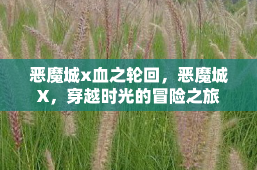 恶魔城x血之轮回，恶魔城X，穿越时光的冒险之旅