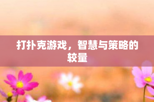 打扑克游戏，智慧与策略的较量