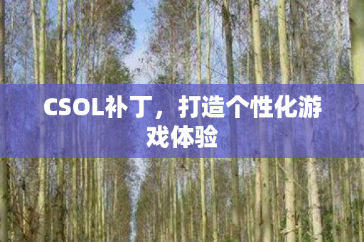 CSOL补丁，打造个性化游戏体验