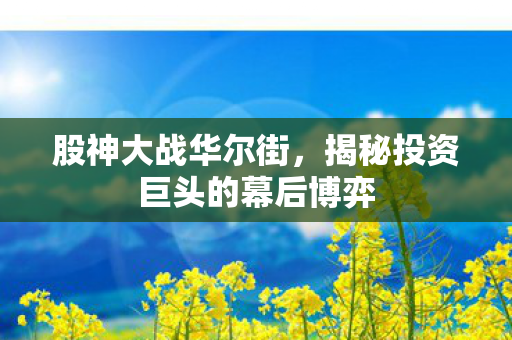 股神大战华尔街，揭秘投资巨头的幕后博弈