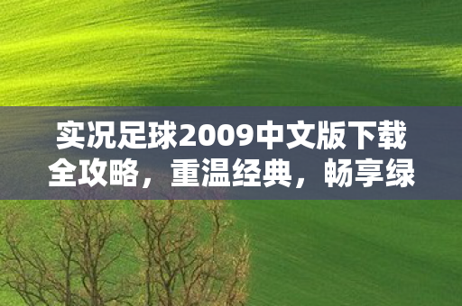 实况足球2009中文版下载全攻略，重温经典，畅享绿茵赛场