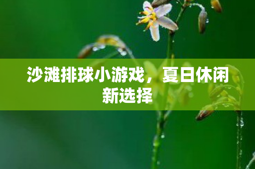沙滩排球小游戏，夏日休闲新选择