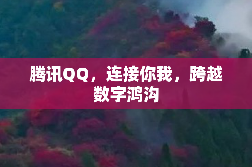 腾讯QQ，连接你我，跨越数字鸿沟