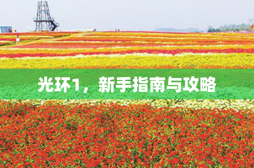 光环1，新手指南与攻略
