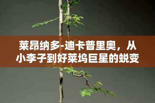 莱昂纳多-迪卡普里奥，从小李子到好莱坞巨星的蜕变之路