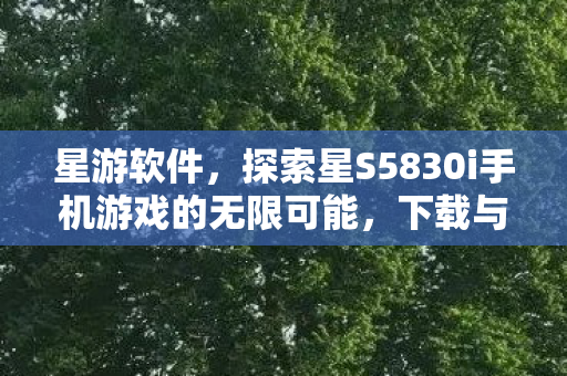 星游软件,探索星S5830i手机游戏的无限可能,下载与体验指南 星游软件,探索星S5830i手机游戏的无限可能,下载与体验指南