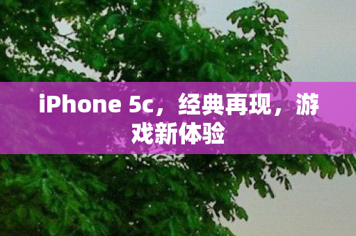iPhone 5c，经典再现，游戏新体验