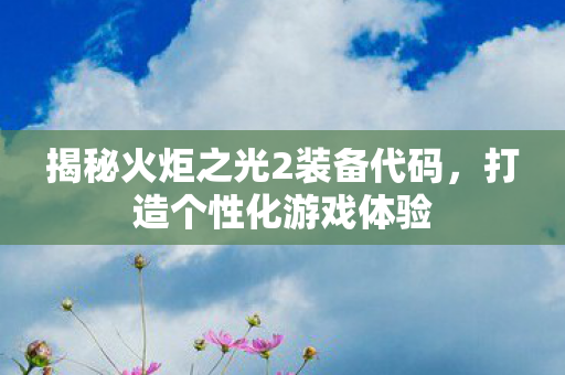 揭秘火炬之光2装备代码,打造个性化游戏体验 揭秘火炬之光2装备代码,打造个性化游戏体验