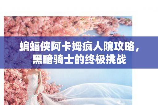 蝙蝠侠阿卡姆疯人院攻略，黑暗骑士的终极挑战