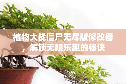 植物大战僵尸无尽版修改器，解锁无限乐趣的秘诀