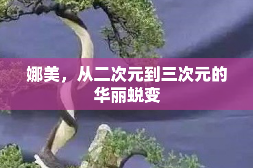 娜美,从二次元到三次元的华丽蜕变 娜美,从二次元到三次元的华丽蜕变