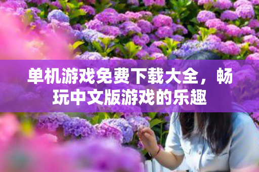 单机游戏免费下载大全，畅玩中文版游戏的乐趣