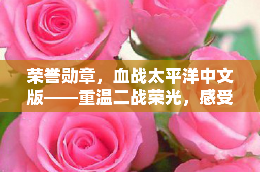 荣誉勋章，血战太平洋中文版——重温二战荣光，感受英雄之魂