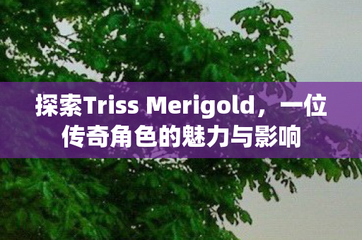 探索Triss Merigold，一位传奇角色的魅力与影响