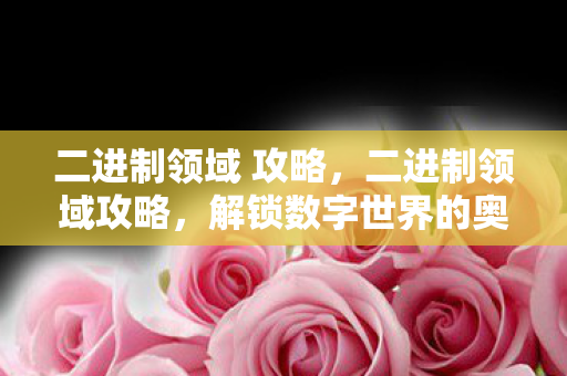 二进制领域 攻略，二进制领域攻略，解锁数字世界的奥秘