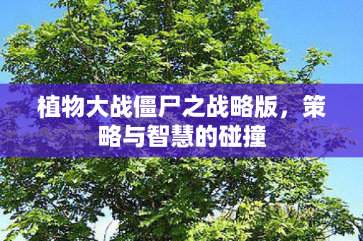 植物大战僵尸之战略版，策略与智慧的碰撞