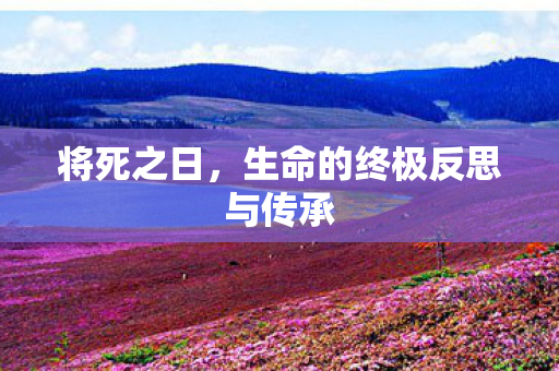 将死之日，生命的终极反思与传承
