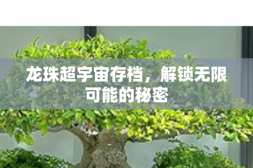 龙珠超宇宙存档，解锁无限可能的秘密