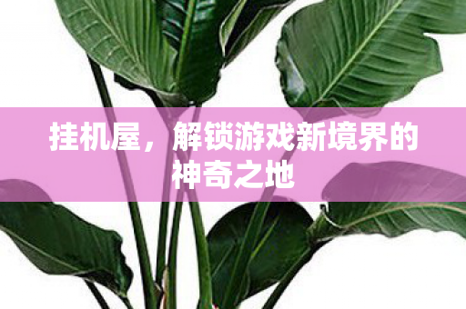 挂机屋，解锁游戏新境界的神奇之地